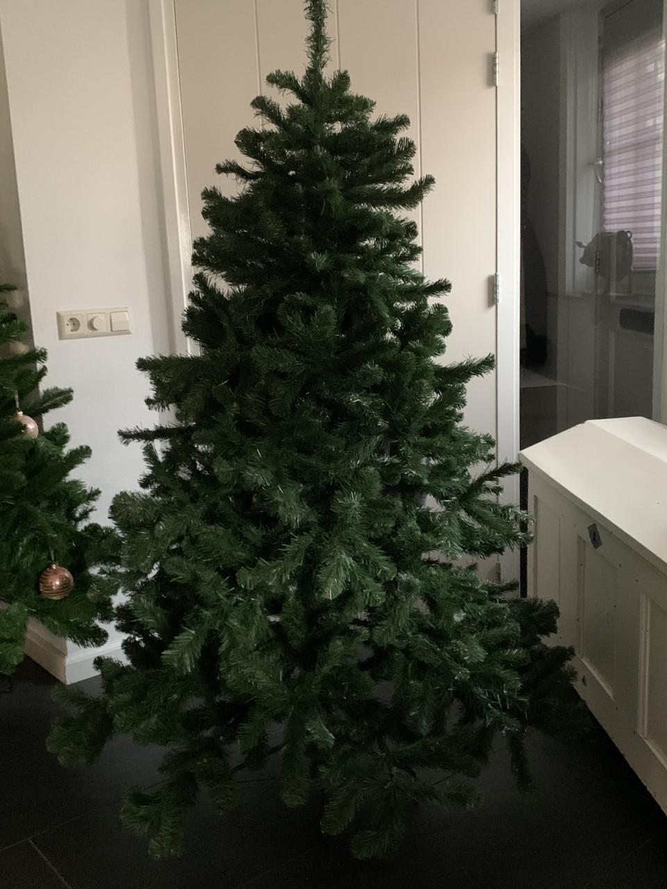 Kerstboom 175. triumph tree