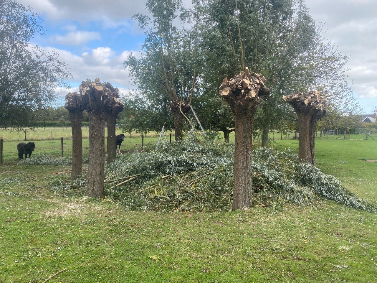 Tuinwerkzaamheden