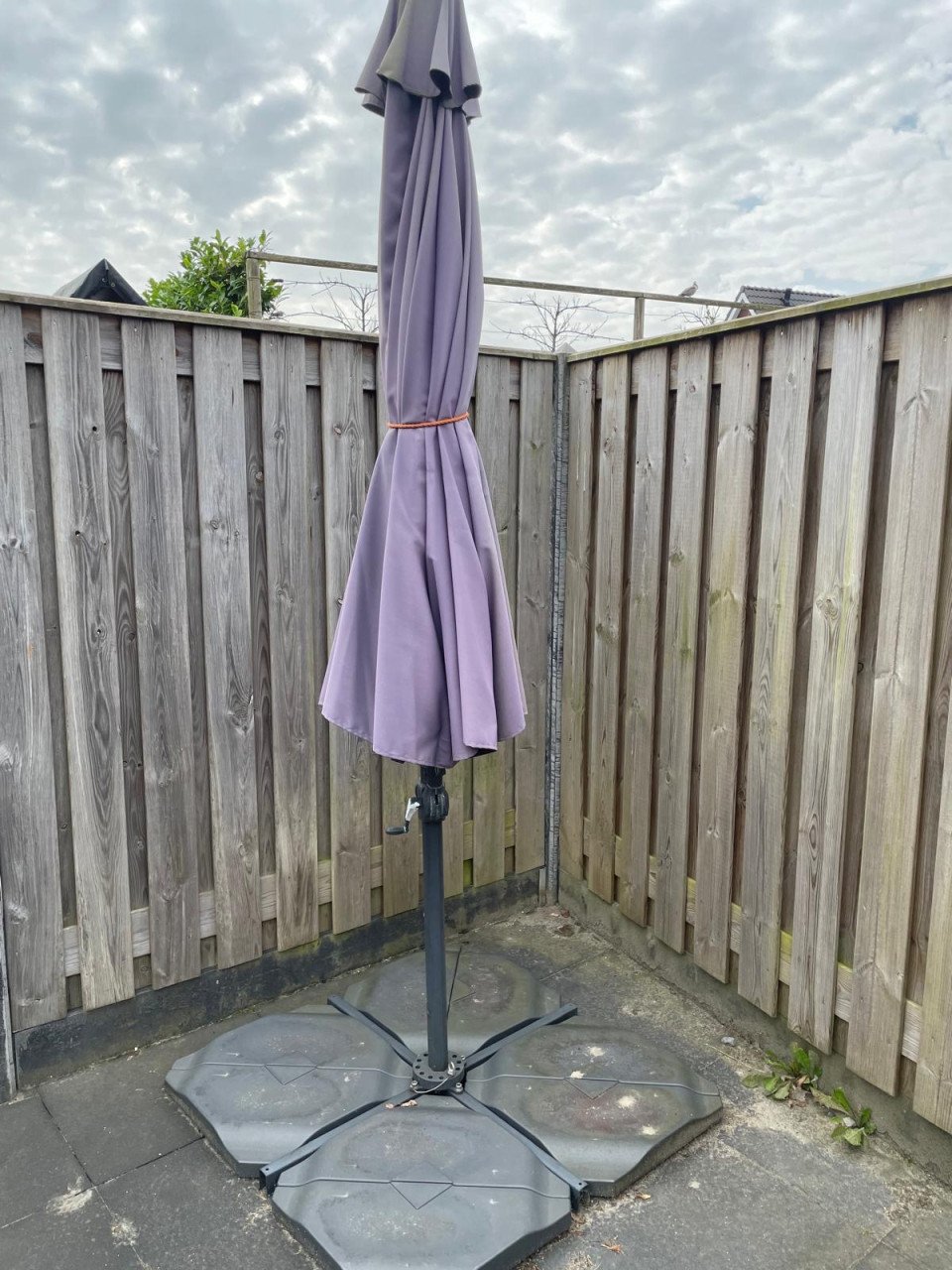 Parasol
