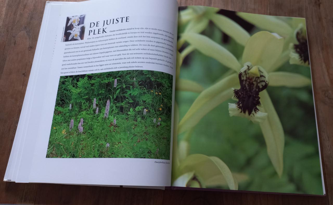 Orchideeën boek