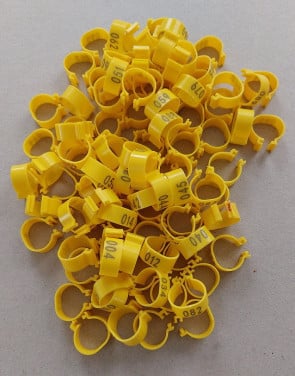 99 Klik Kippenringen 16MM Met Nummer