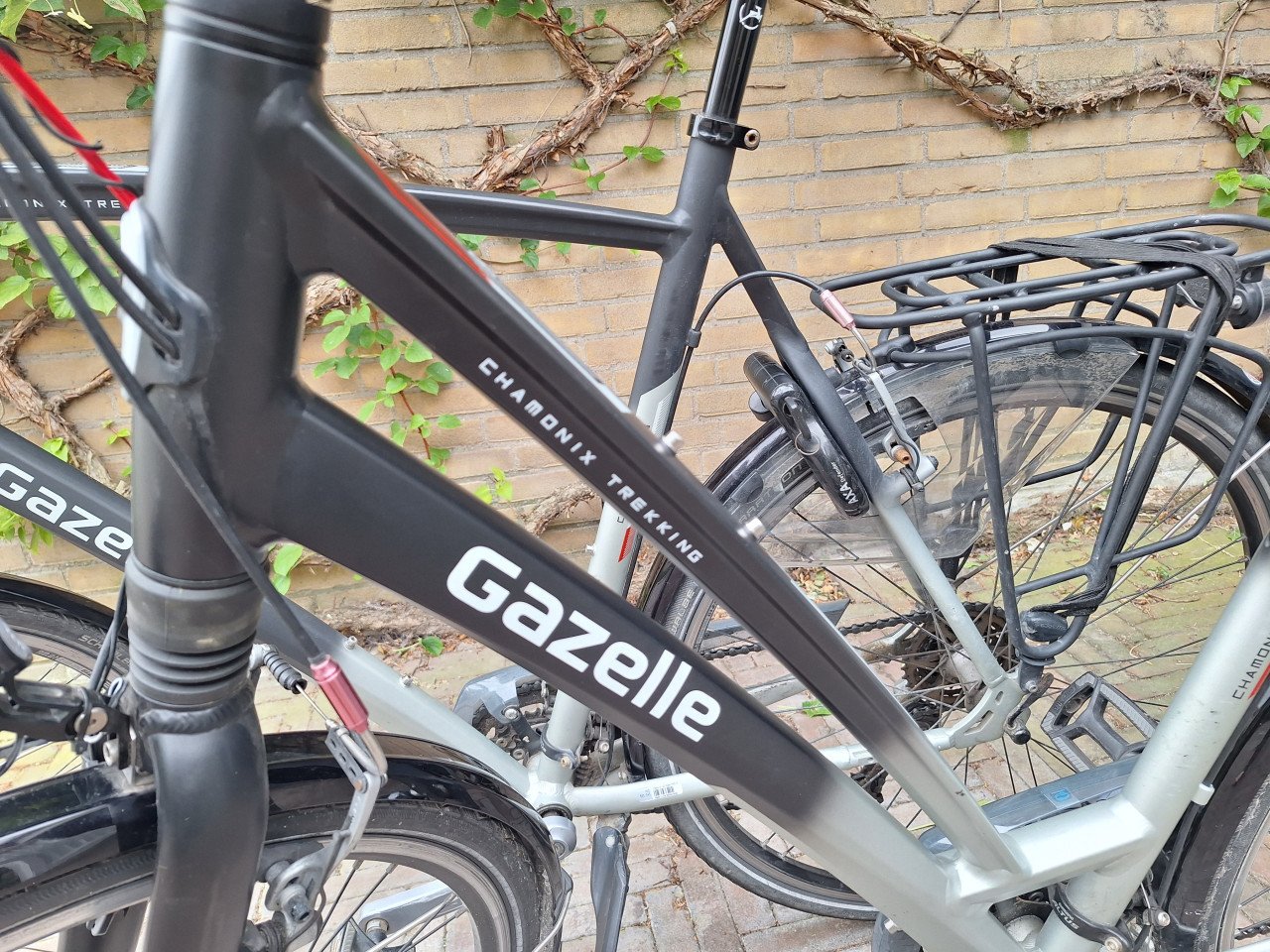 Gazelle Herenfiets Chamonix Trekking T27