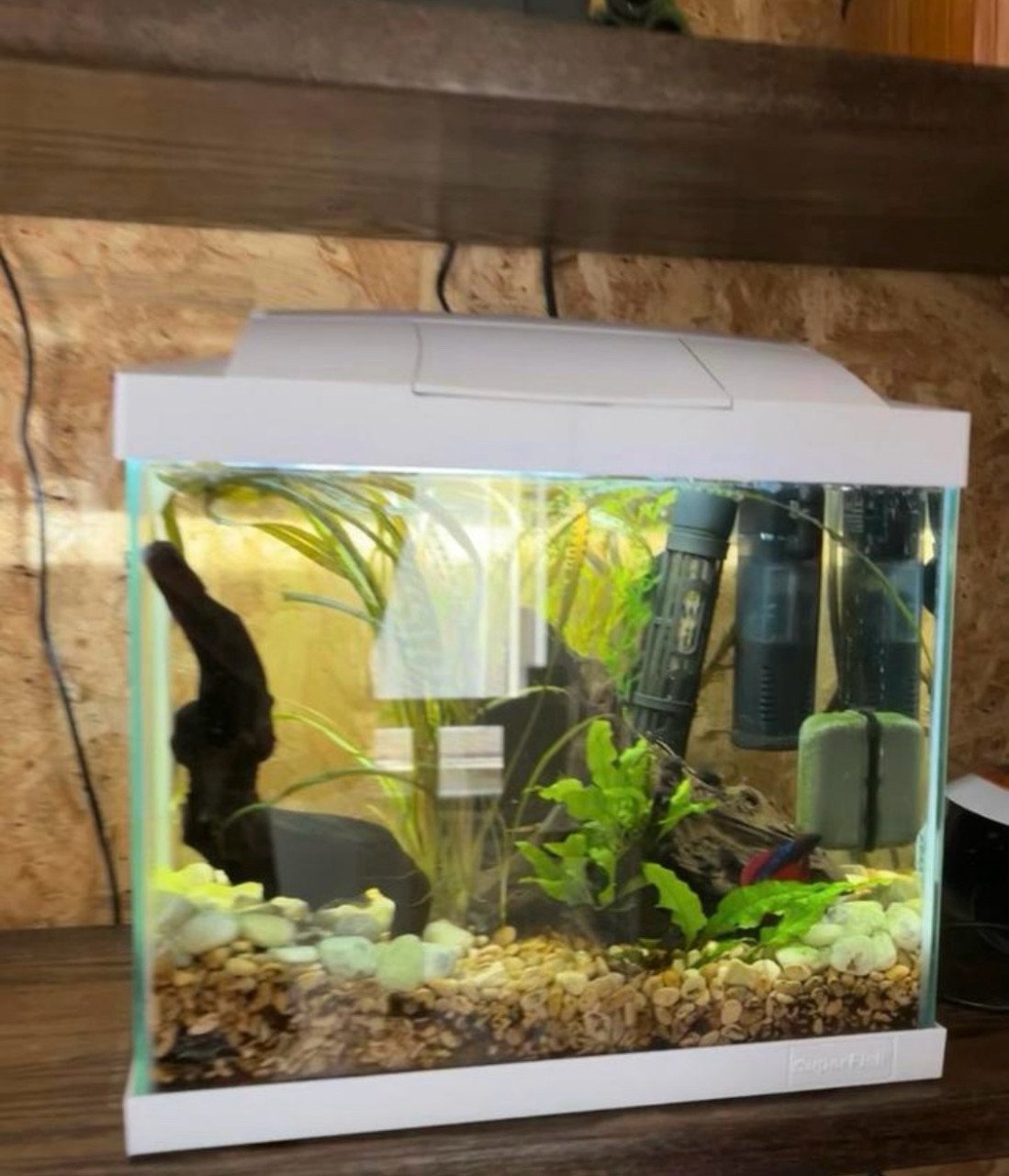Aquarium klein wit
