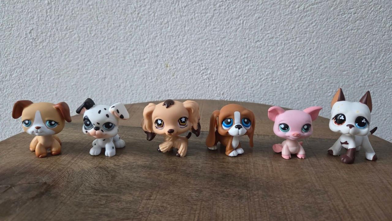 🎈Little Pet Shop Pakket. zie alle foto's voor volledig pakket