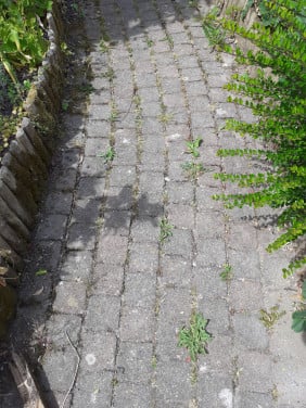 Klinkers tuin