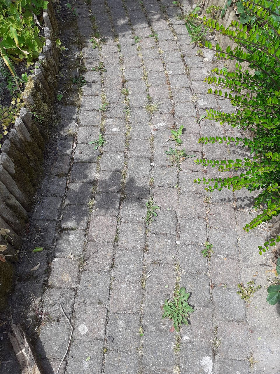 Klinkers tuin