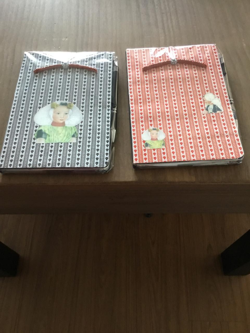 Notitieboekjes met pen