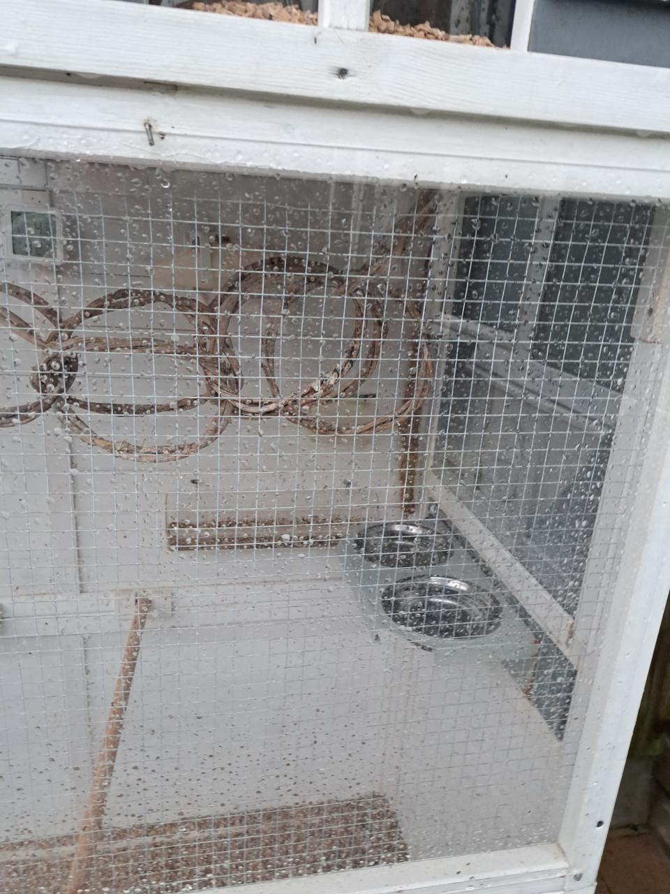 Voliére  Sarah Large