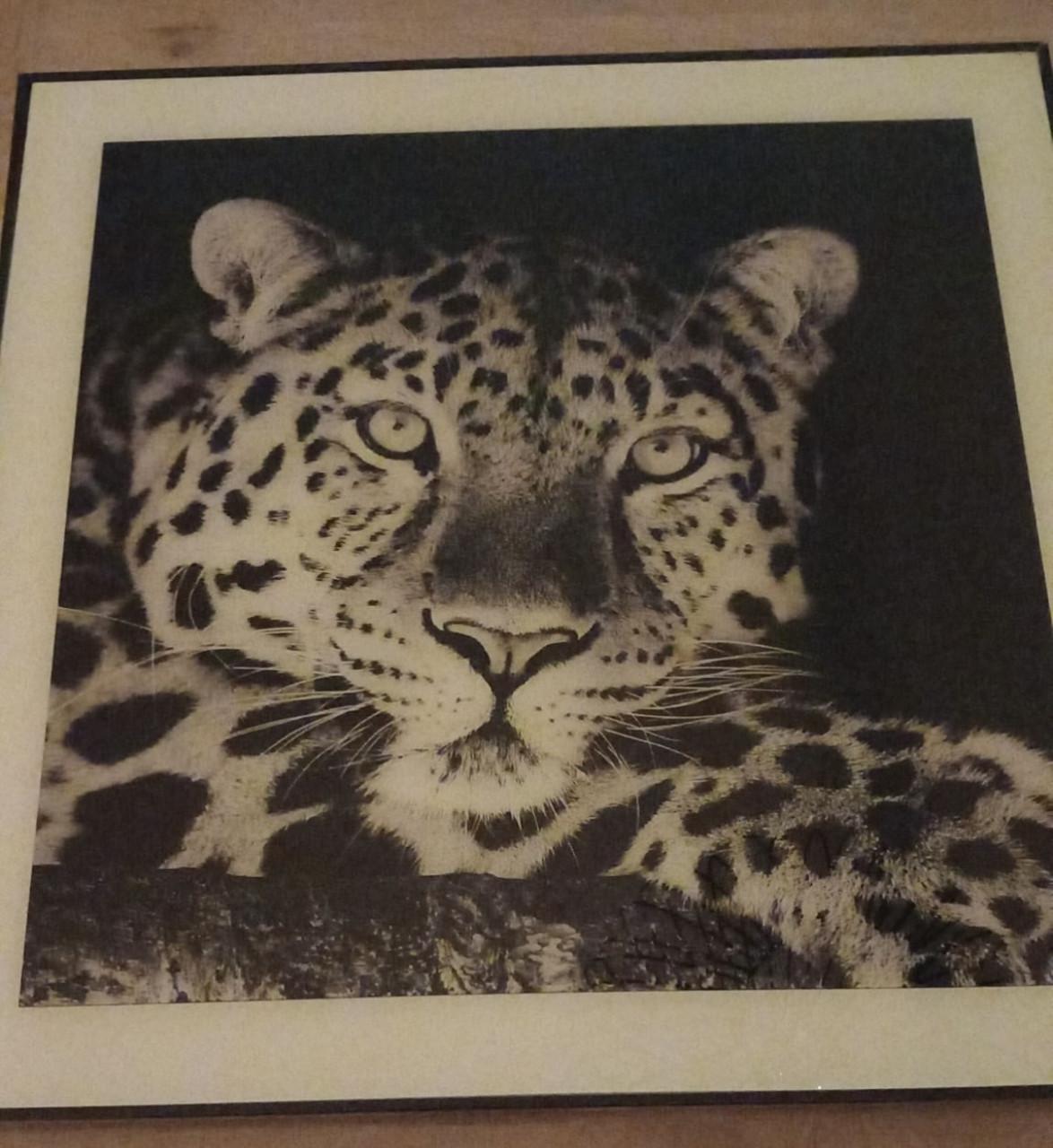 Schilderijen wilde dieren