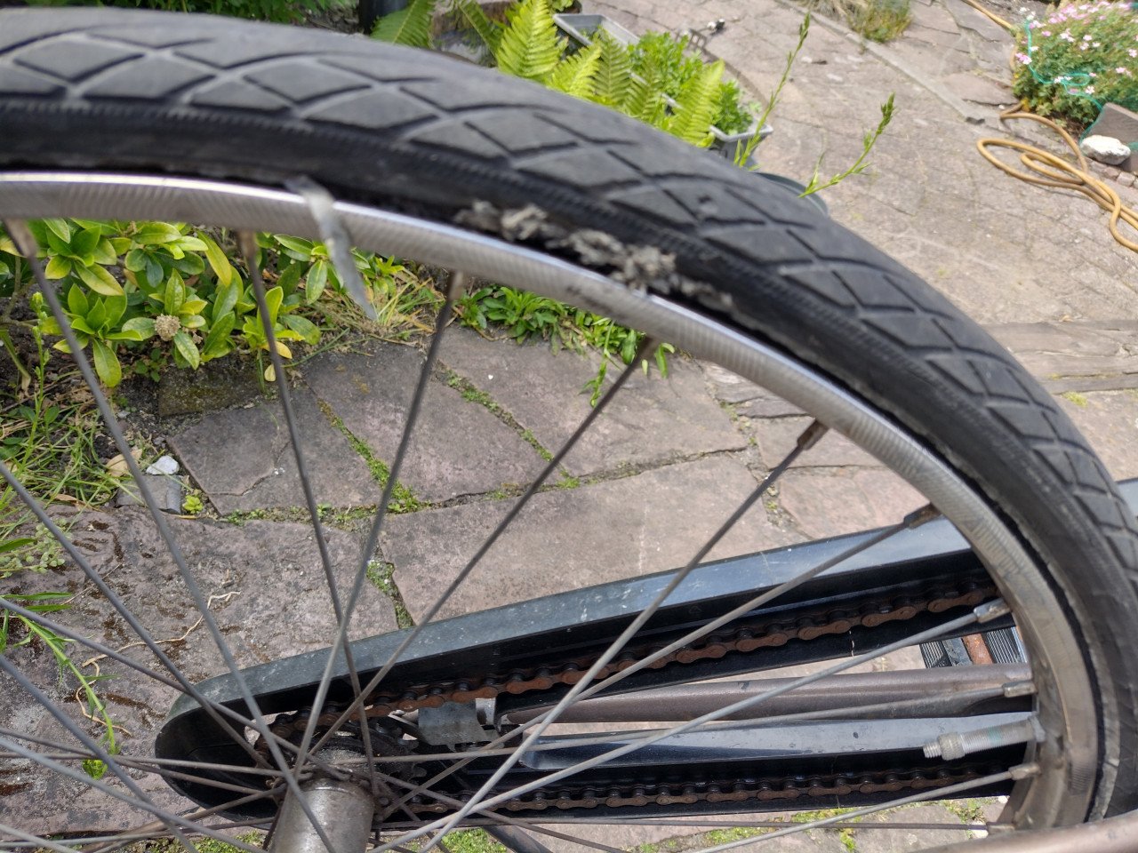 Fiets