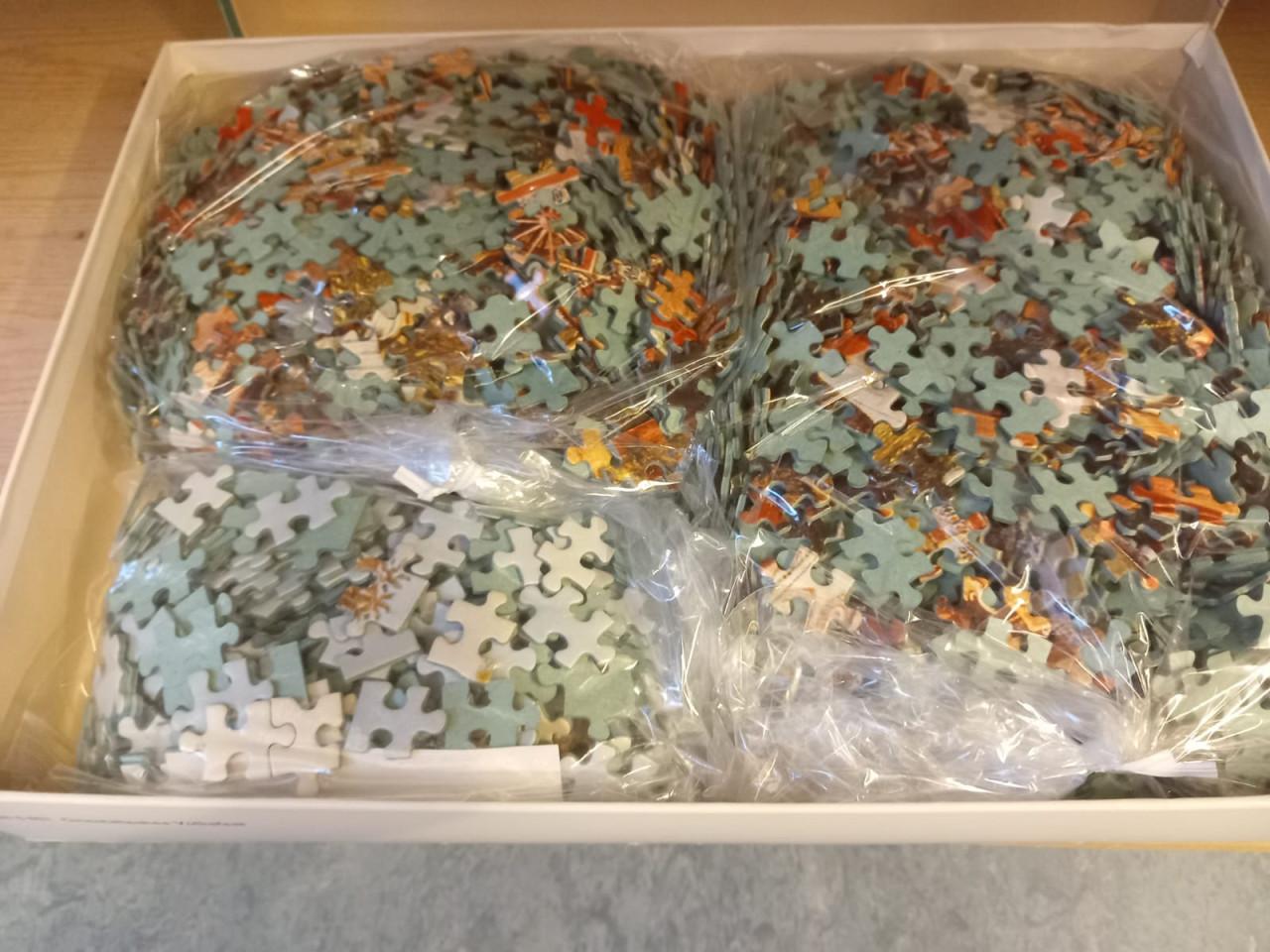 Puzzel Ravensburger - De Parade