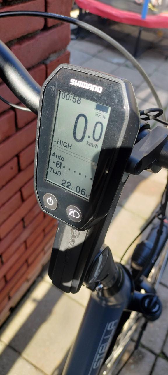 Stella Livorno steps