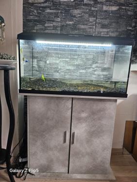 Aqwarium met kast