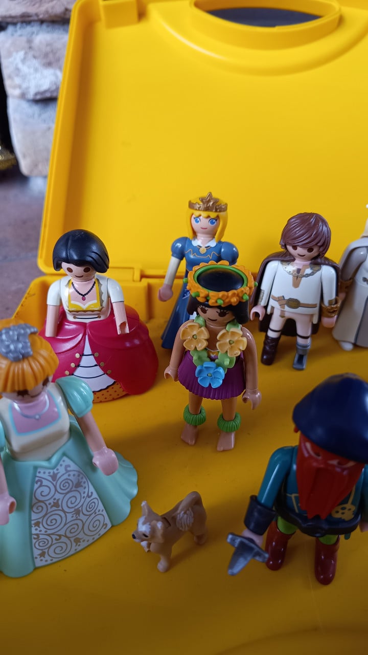 Playmobil set – 10 figuren + hond + accessoires in gele koffer