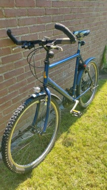 Raleigh mountainbike