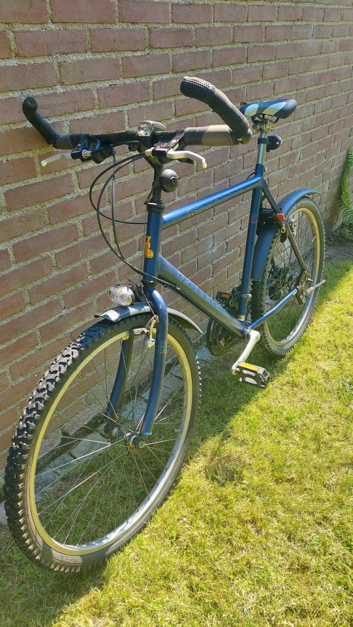 Raleigh mountainbike