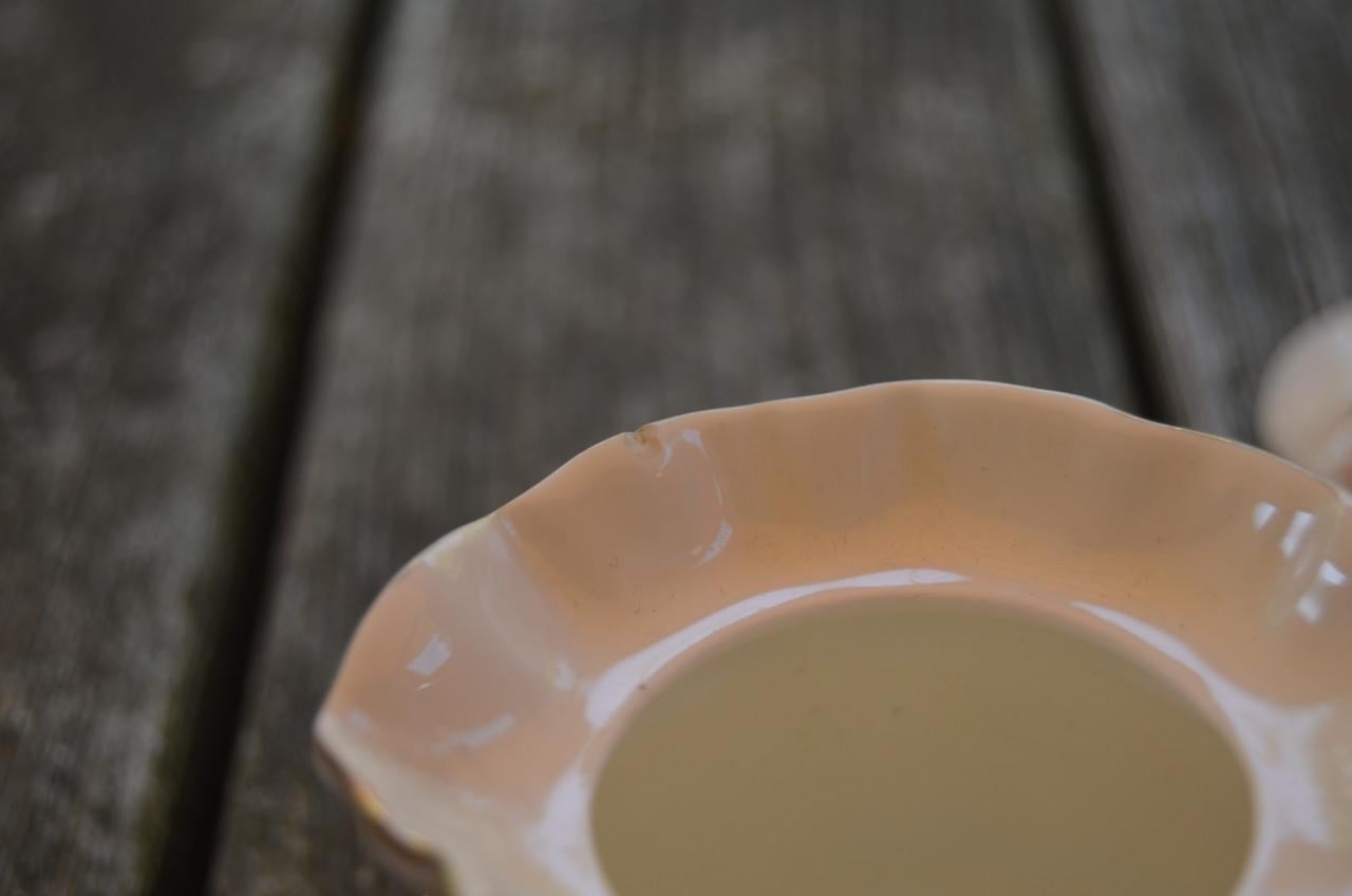 Royal Albert Bone China potje 1961