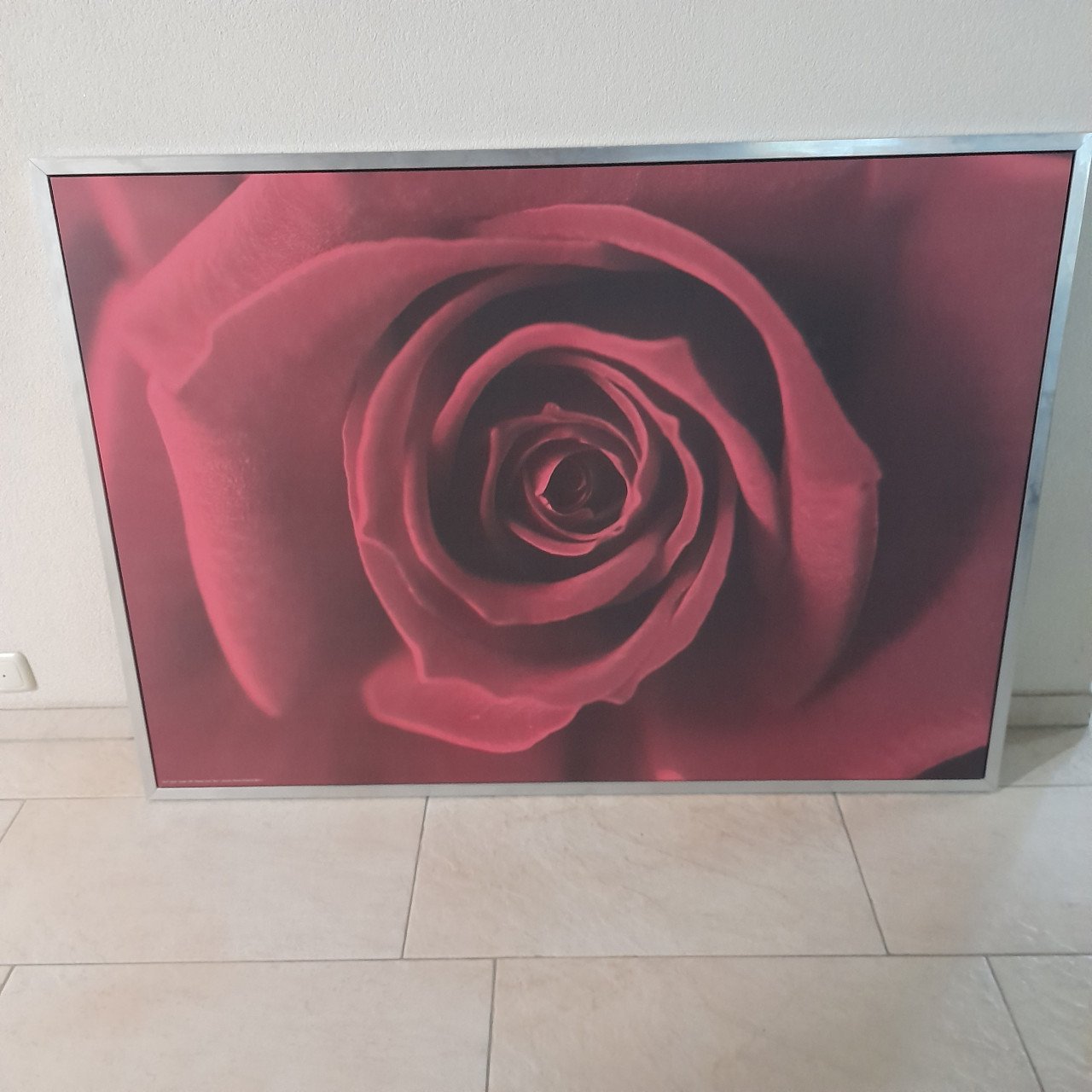 Schilderij roos  140 x 100 ( in goede nette staat )