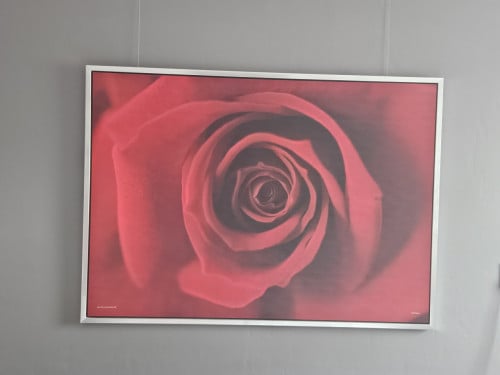 Schilderij roos