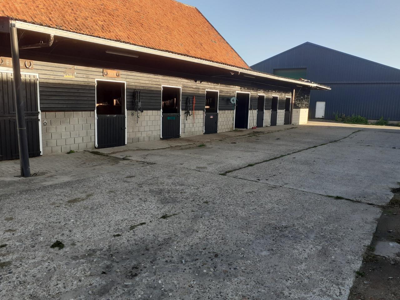 Paarden stalling