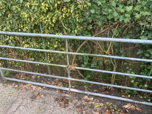 Gegalvaniseerd weidehek met hang en sluitwerk