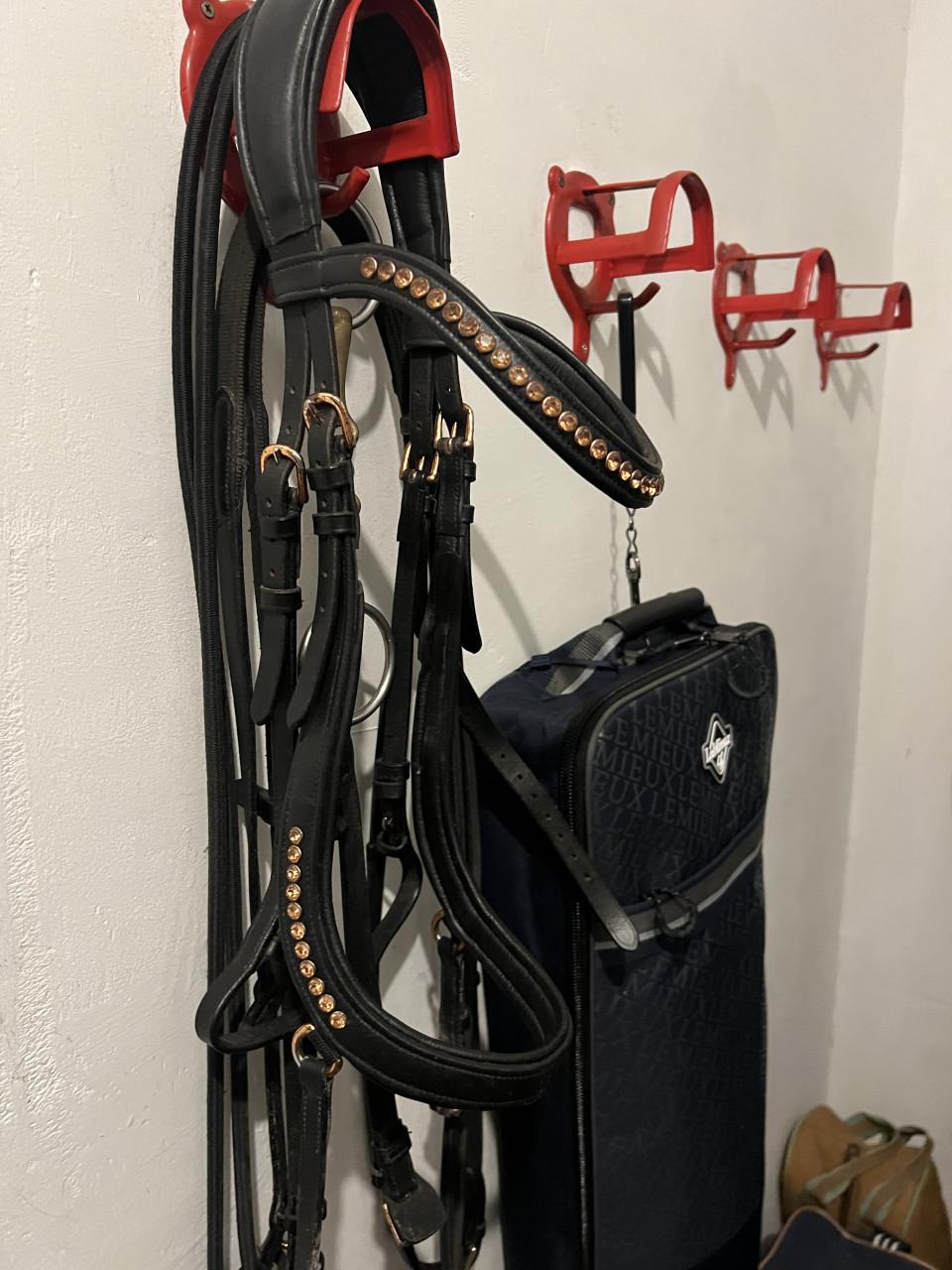 Anatomisch hoofstel COB