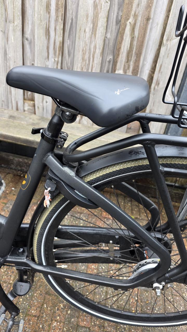 Cortina Common Family