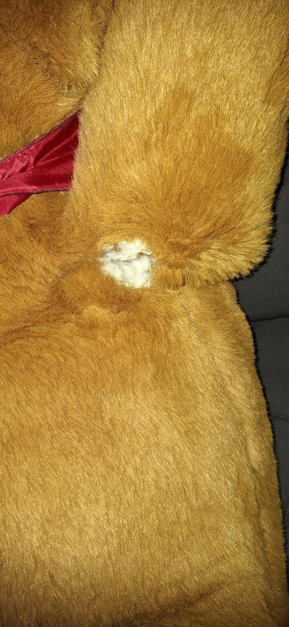 Grote teddybeer