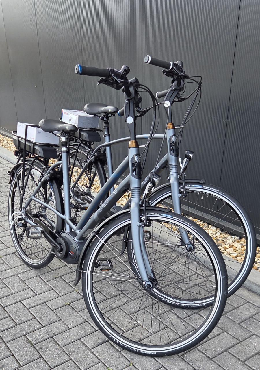 Set Batavus Sella Bosch Performance Line 55 en 57CM 500Wh 34