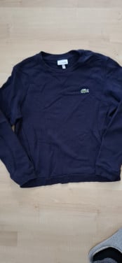 Trui Lacoste