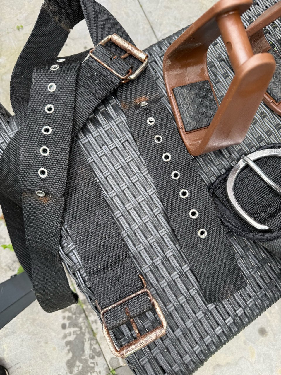Barebackpad paard