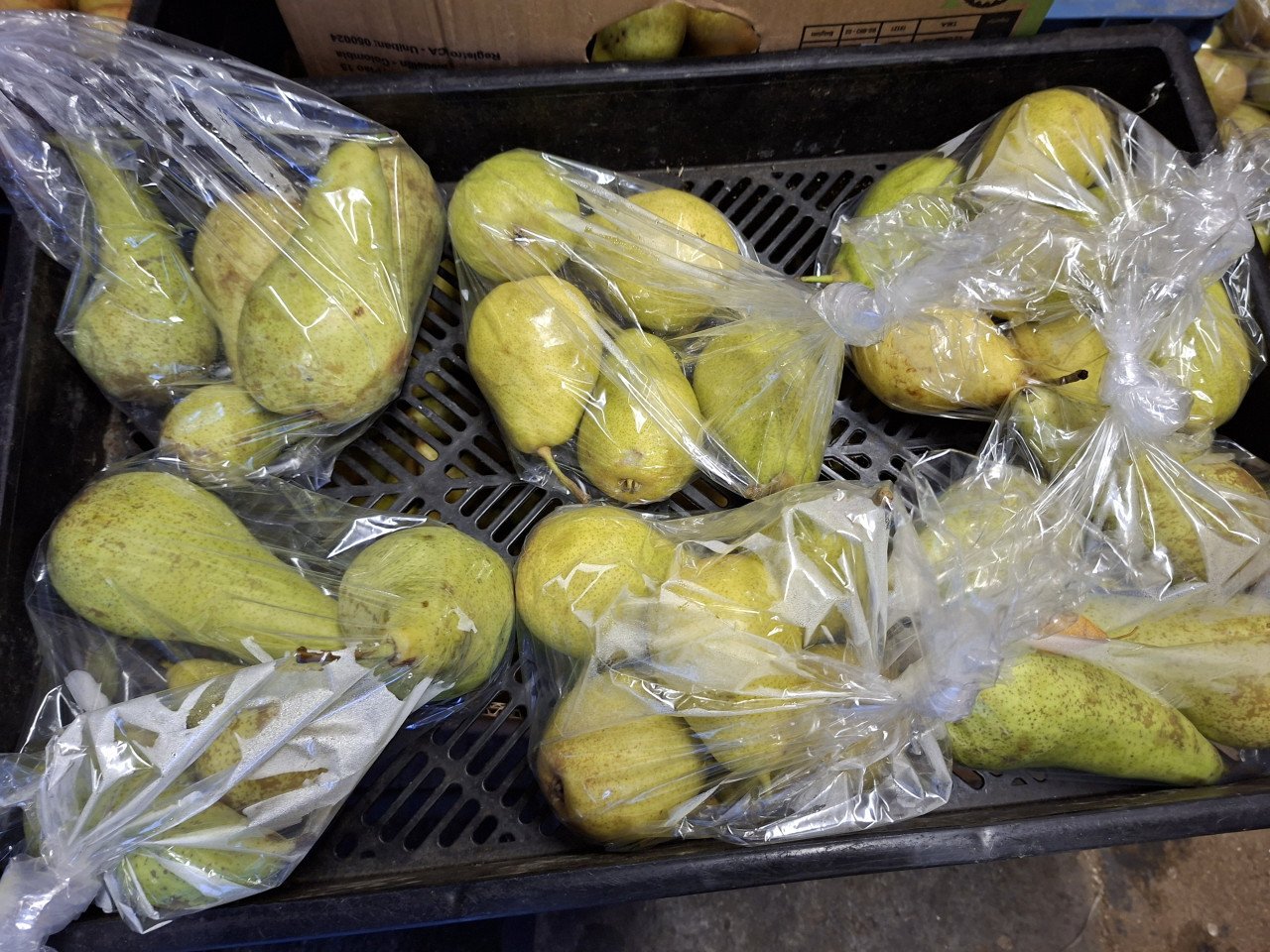 PEREN !