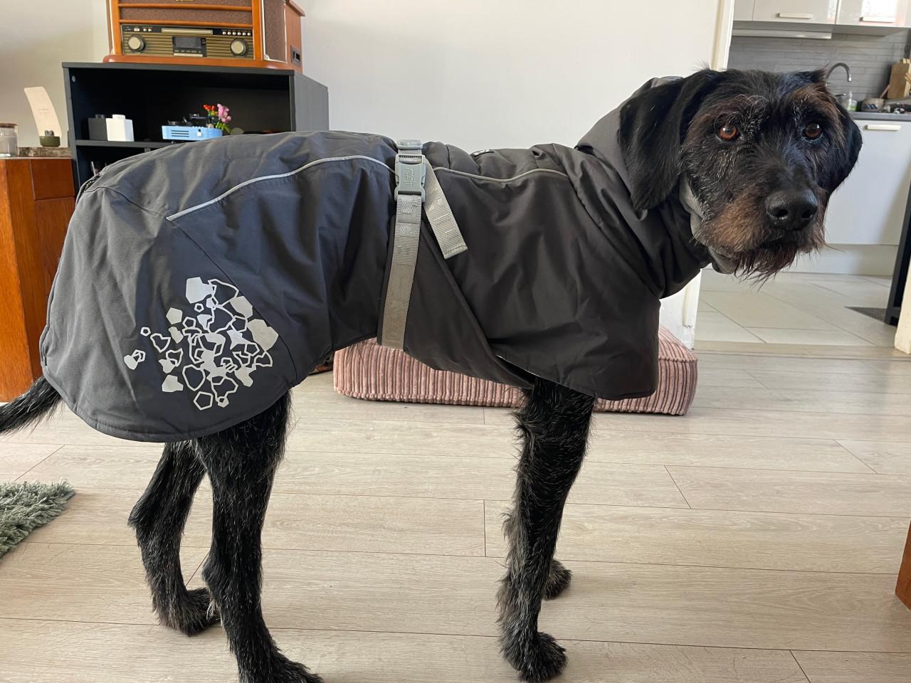 Hondenjas, schoentjes, halsband, licht, vachtverzorging, enz.