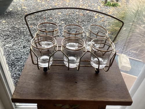 Shotglaasjes borrelglaasjes 6 in houder