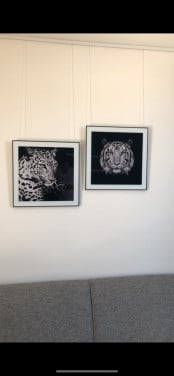 Decoratie