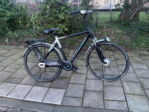 Gazelle Eclipse N8 Herenfiets