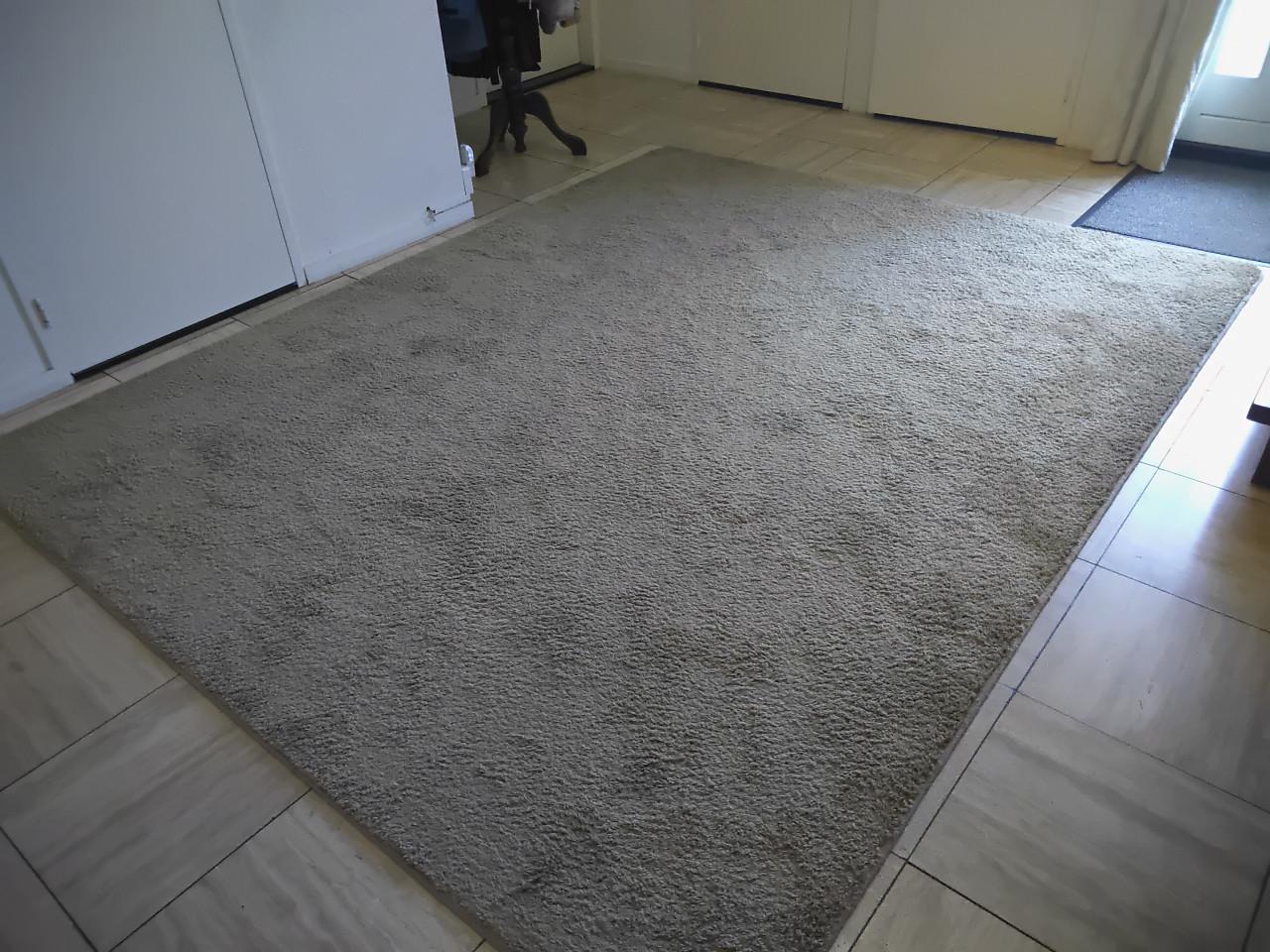 Gratis tapijt 300x230 cm beige moet nog schoongemaakt, voor onder afdak?