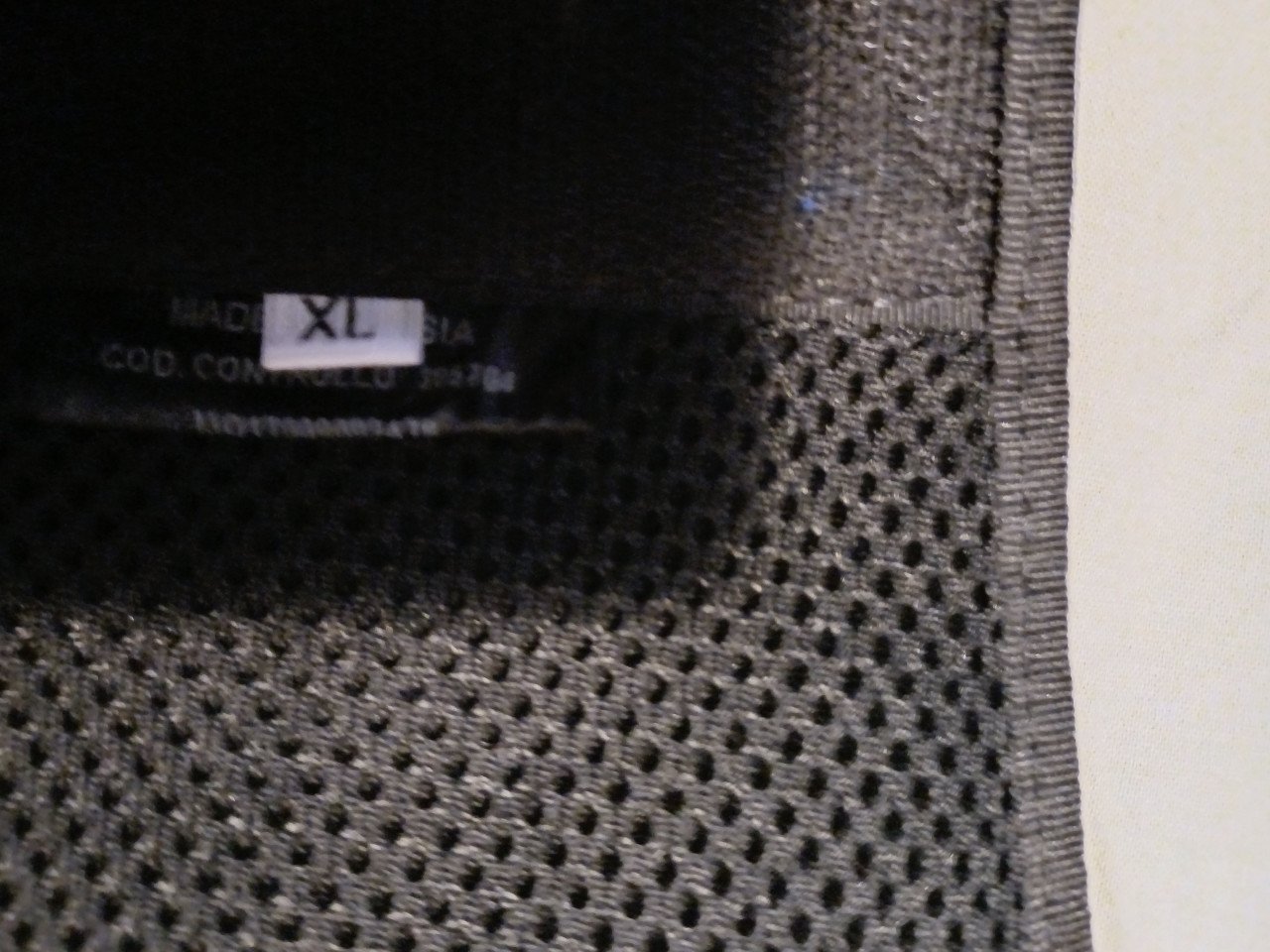 Dainese Manus D1 rugprotector