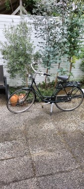 Damesfiets gazelle