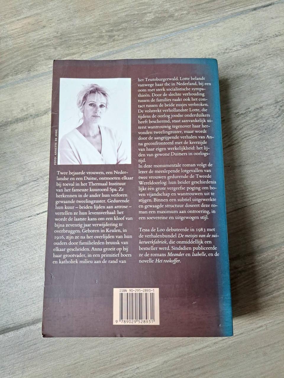 Roman De tweeling Tessa de Loo