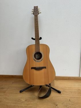 LAG Gitaar ( France)