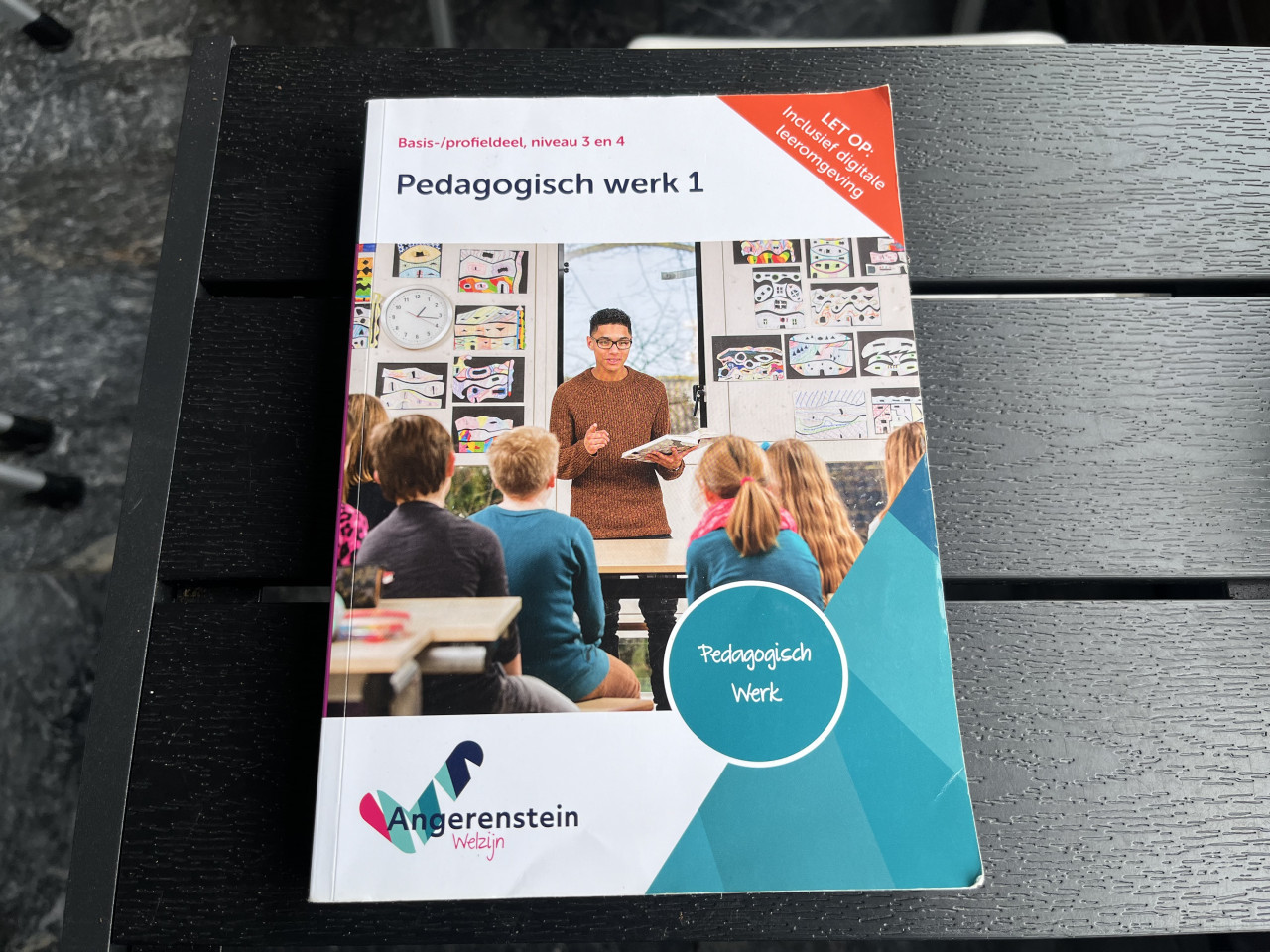 5 Schoolboeken Pedagogisch werk Angerenstein Welzijn