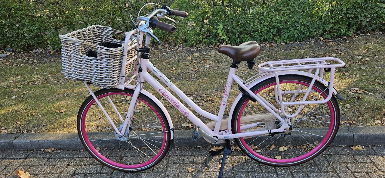 Gazelle Miss Grace Unieke Roze damesfiets