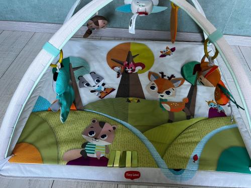 Babygym Speelkleed van Tiny Love
