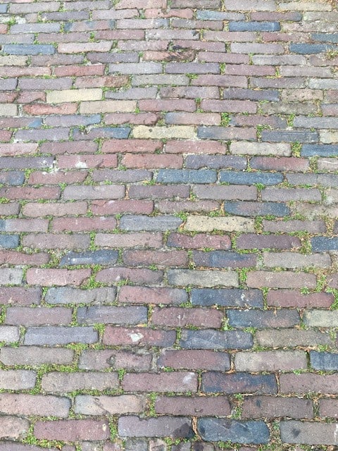 Oude gebakken waaltjes 5 duimers in alle kleuren beschikbaar