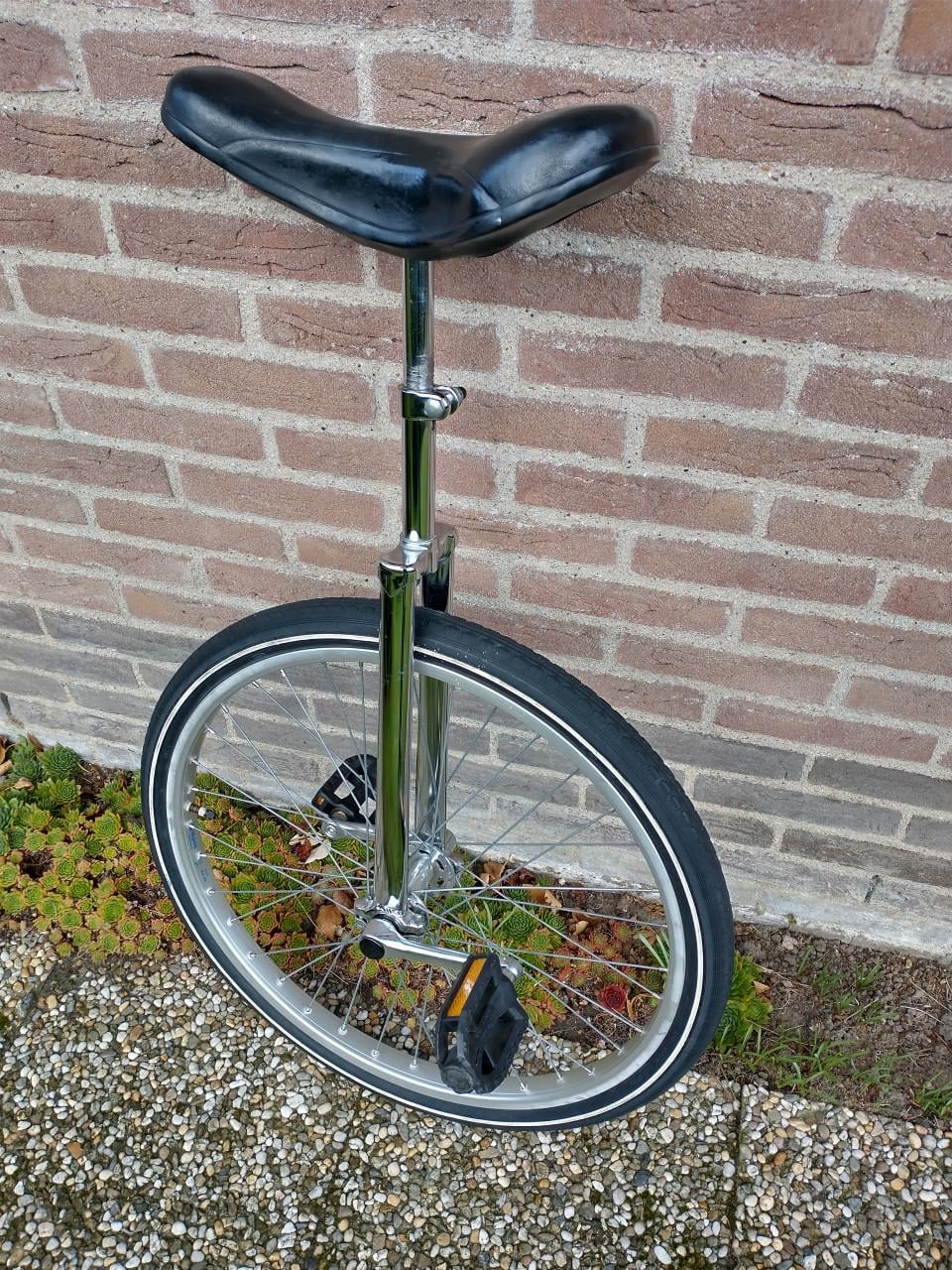 Eenwielfietsje, z.g.a.n.