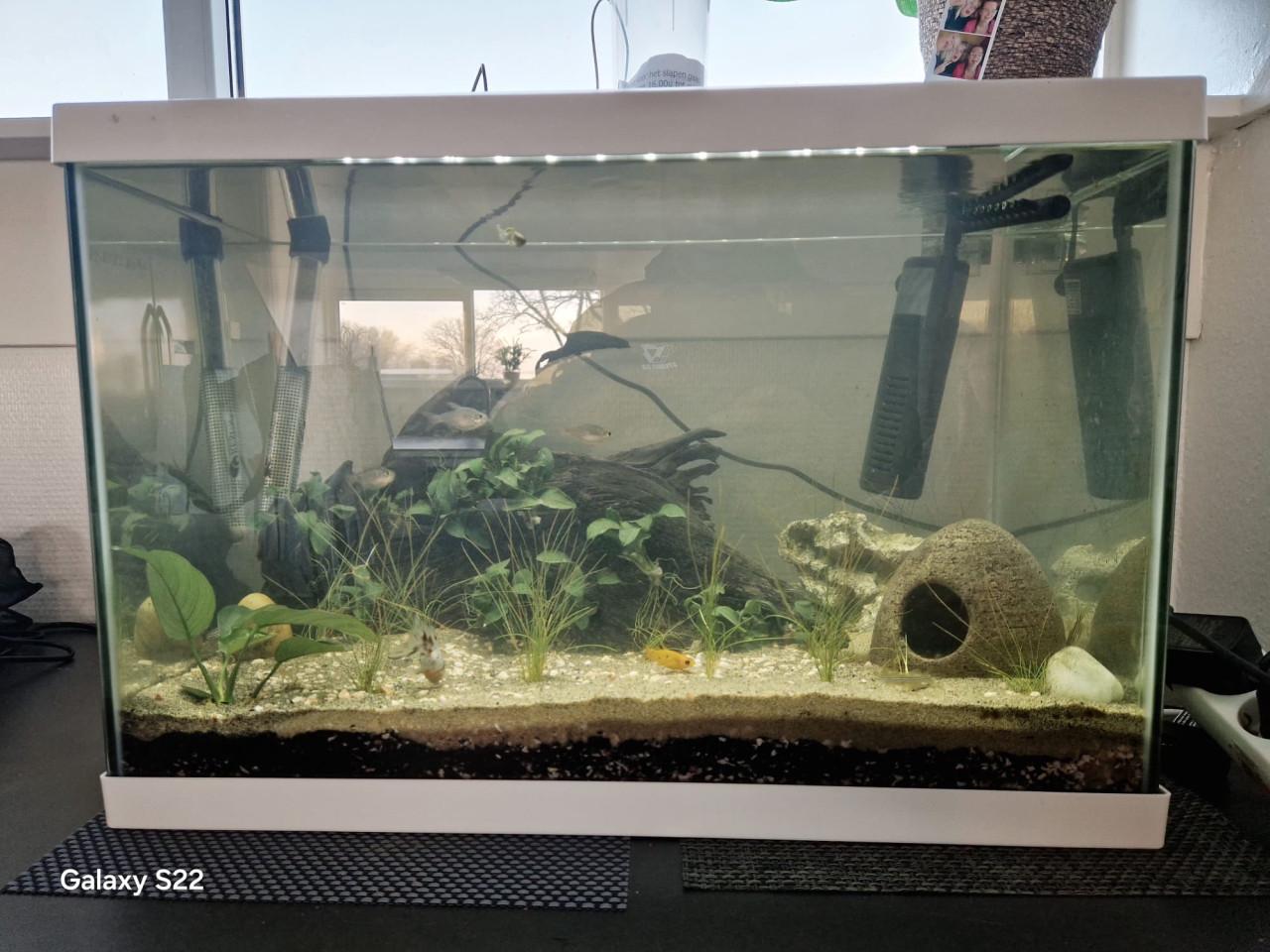 Compleet aquarium 70 liter 56 cm br 33 diep x 40 hoog