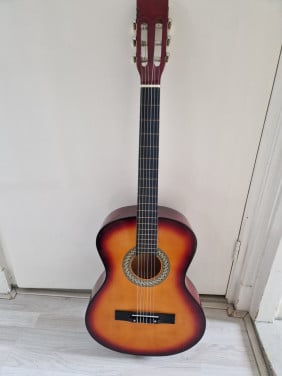 Gitaar in tas