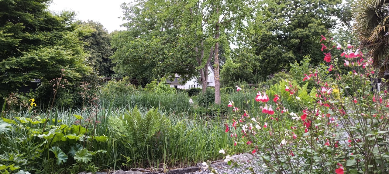 Open Tuindagen:  8 + 9 juni van 10:00 tot 18:00 ** GRATIS inkom. **