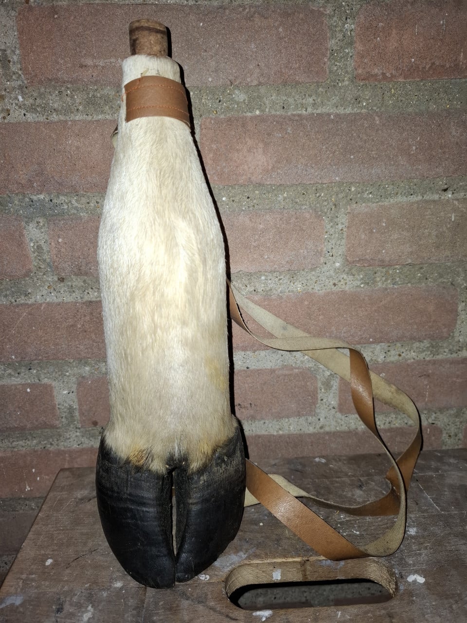 Unieke koeiepoot